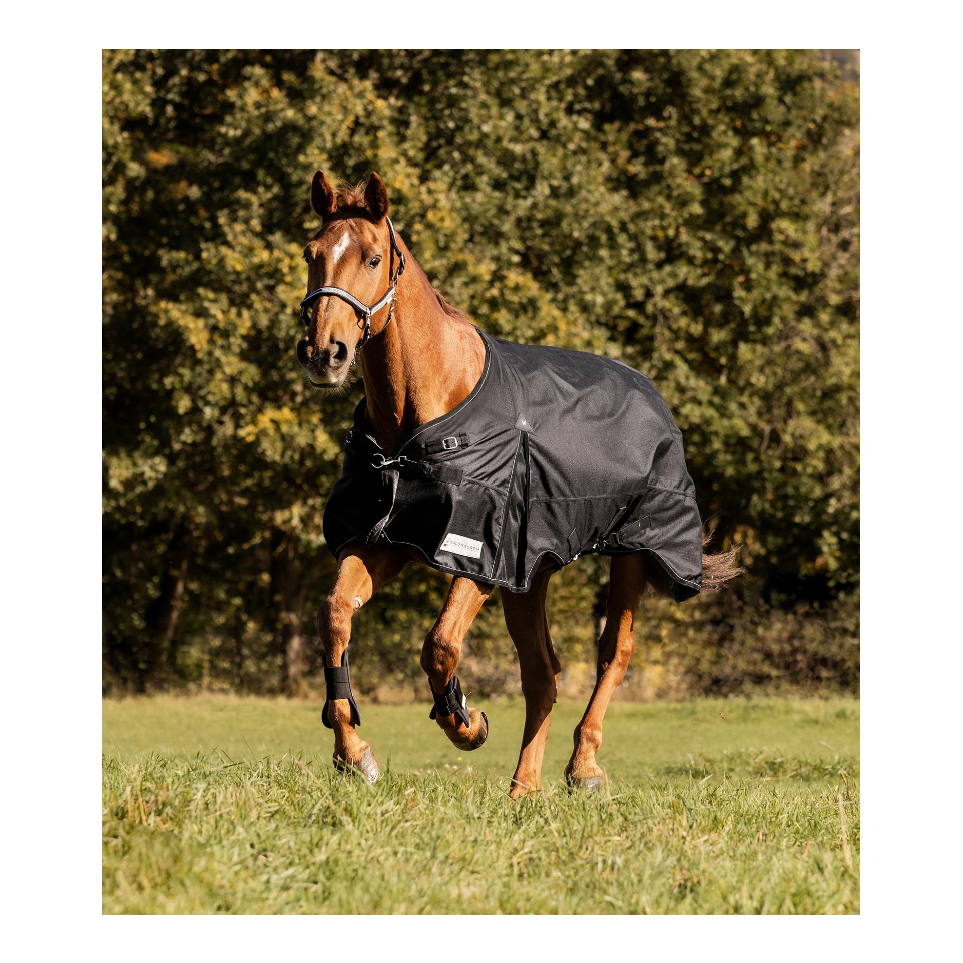 Waldhausen Outdoordecke Scandic, 100g