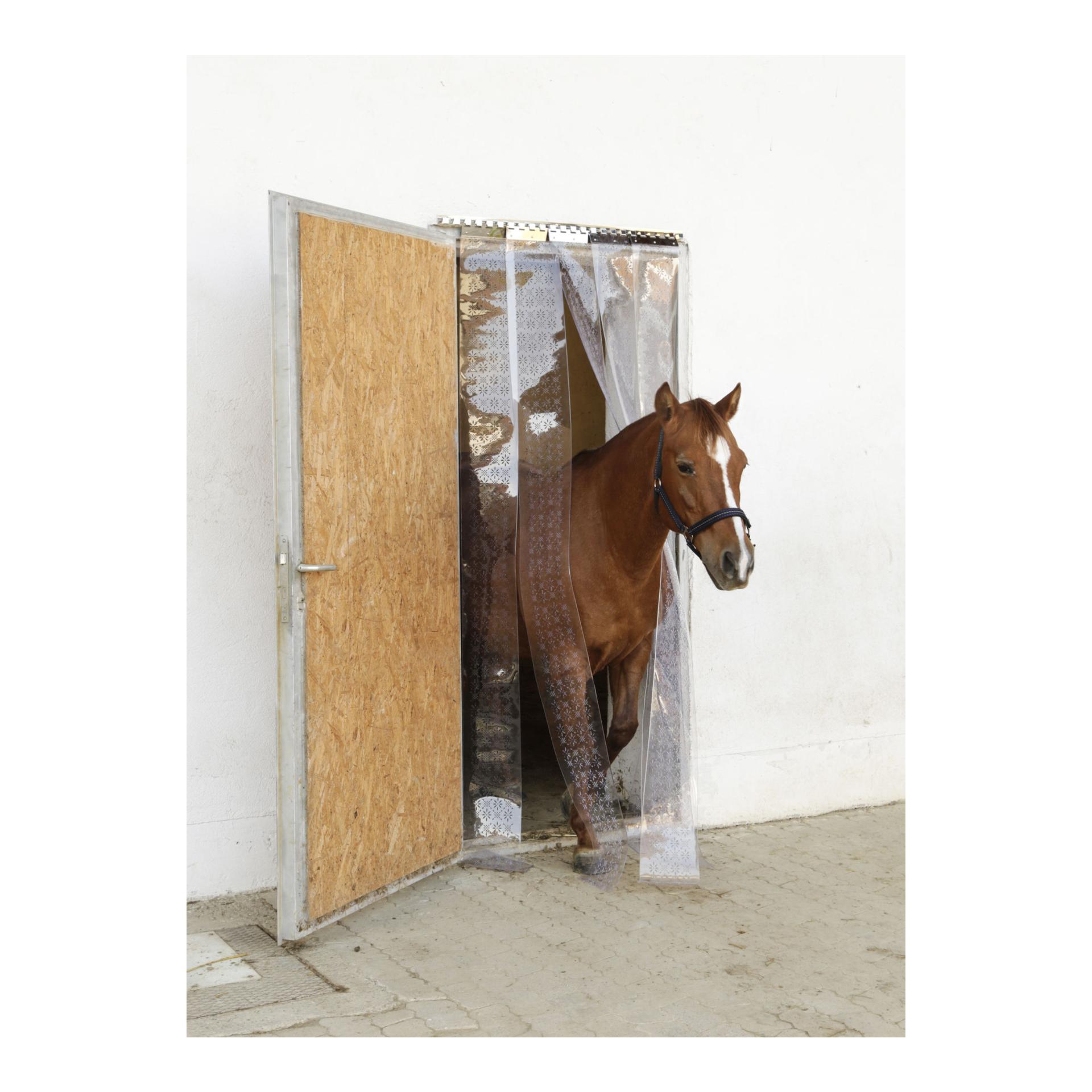 Fliegen-Streifenvorhang-Set PVC