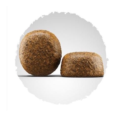 Josera Nourriture sèche Large Breed pour les chiens de grandes races