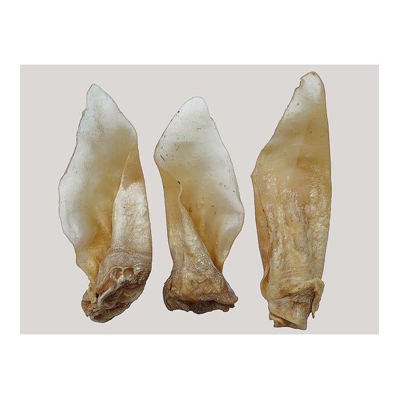 Beef Plus light Rinderohren mit Muschel