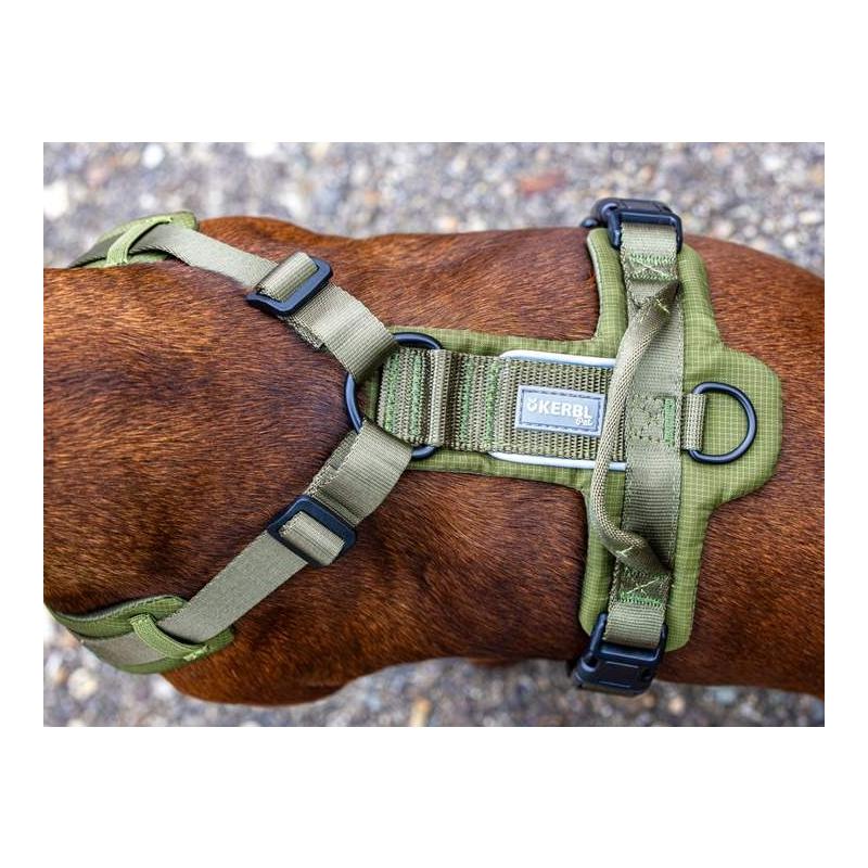 Kerbl Pet Hundegeschirr Dallas