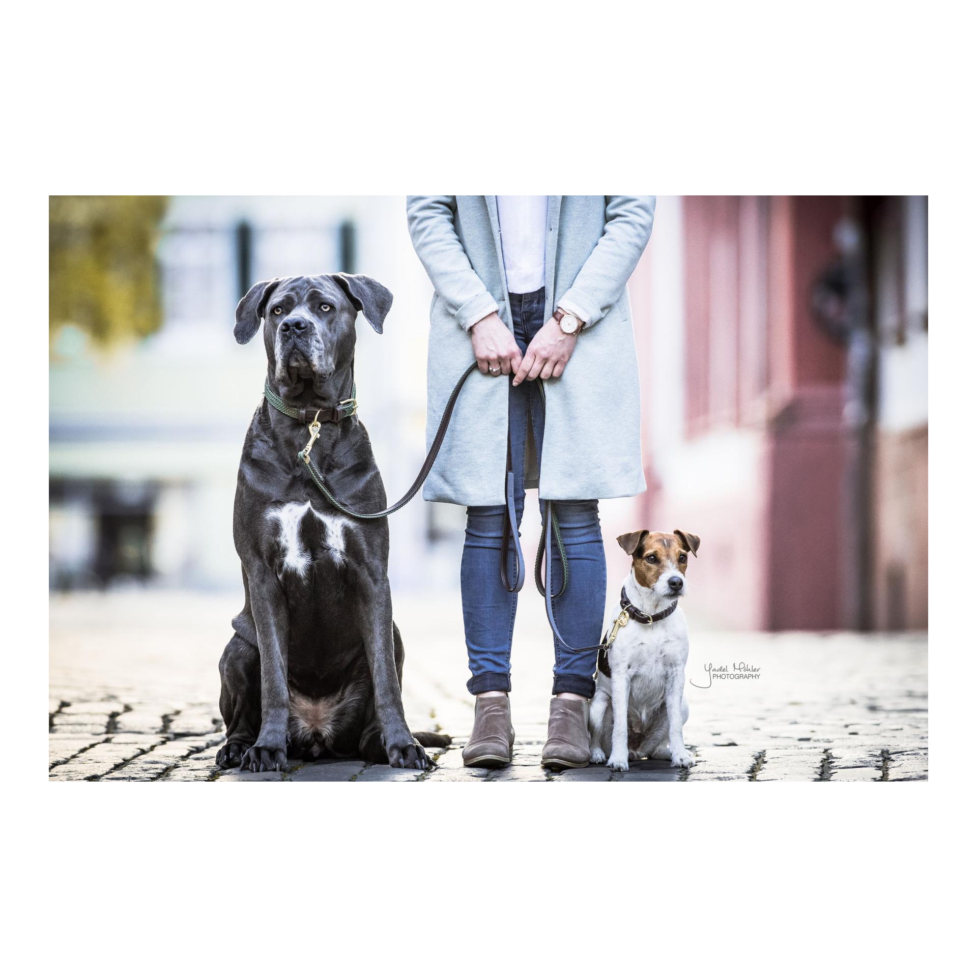 Hundehalsband Nylon geflochten - olive green