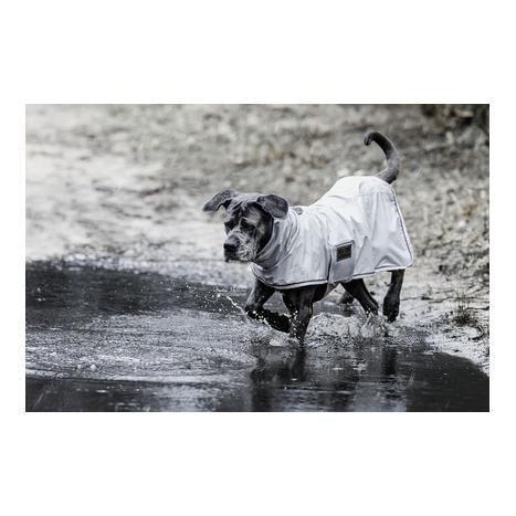 Hunde Regenjacke