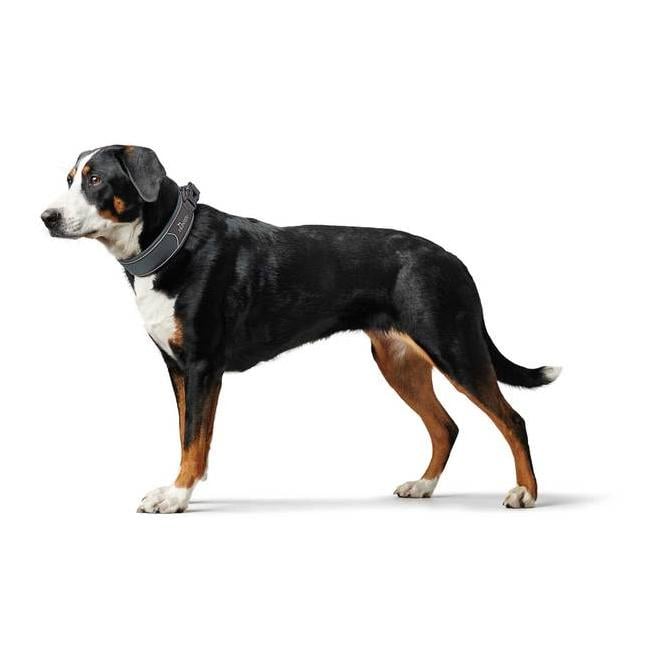 Halsung Divo - grau/grau