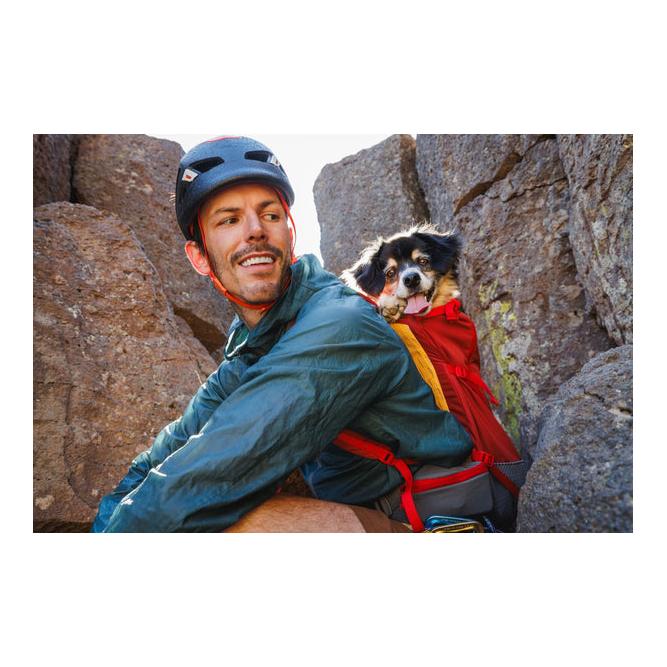 Hundetragetasche Hitch Hiker