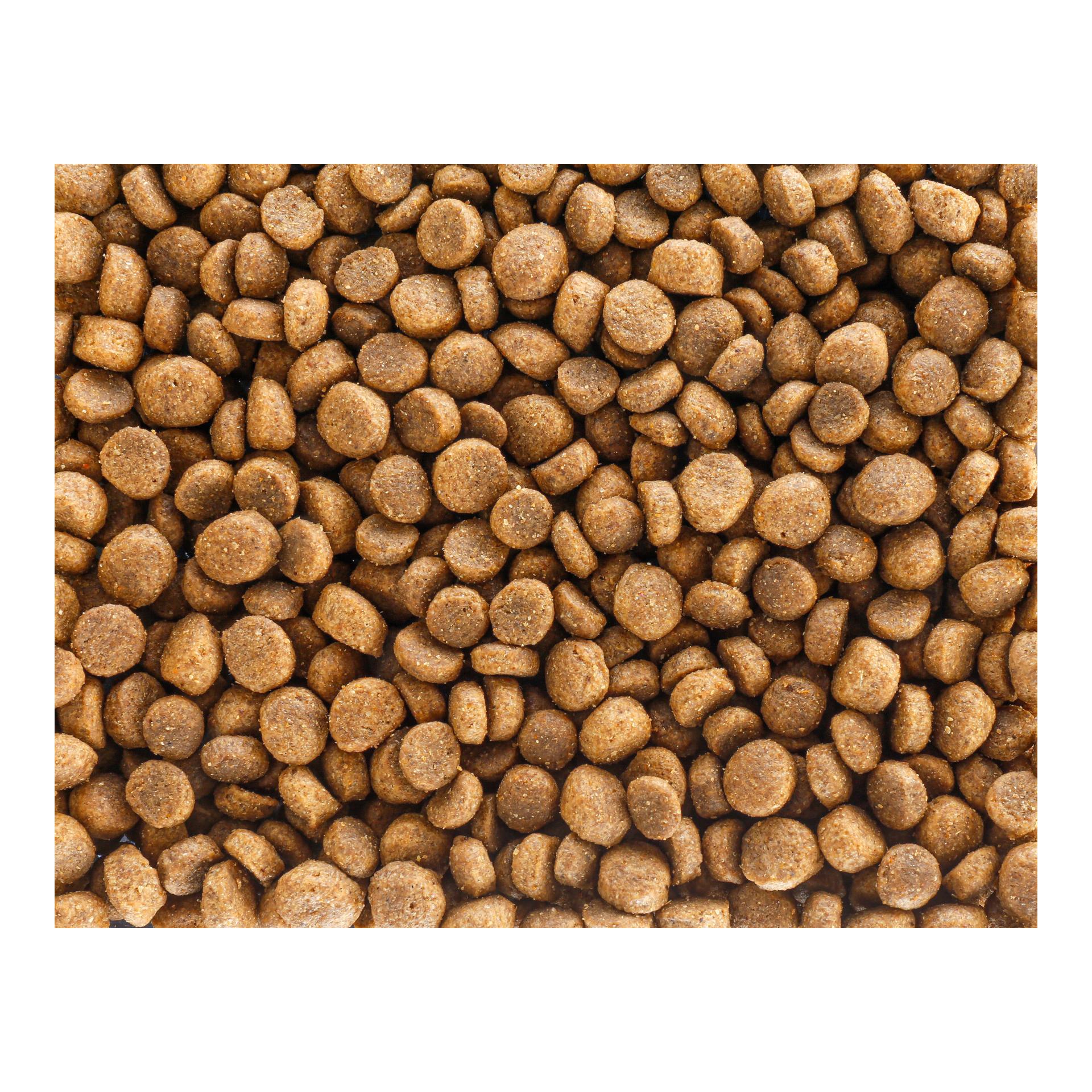 Protein Snack Sensitiv