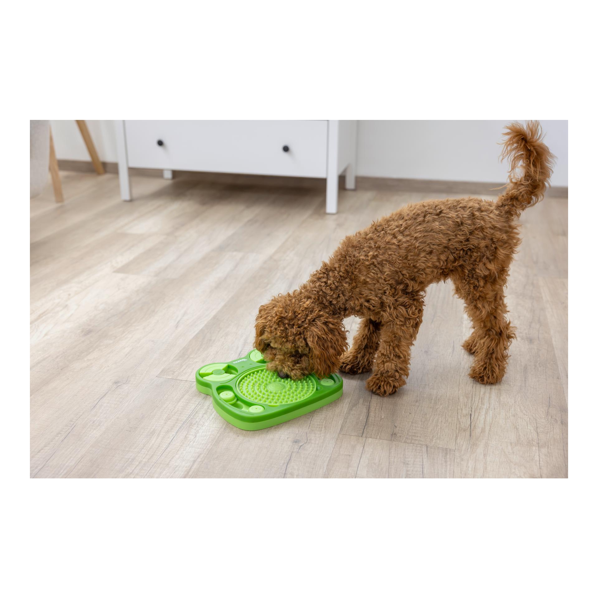 Kerbl Pet Denk- und Lernspielzeug Frosch