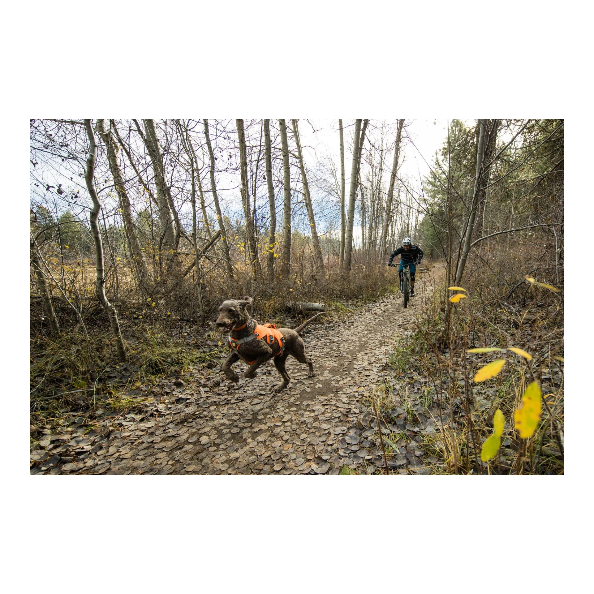 Web Master™ Geschirr