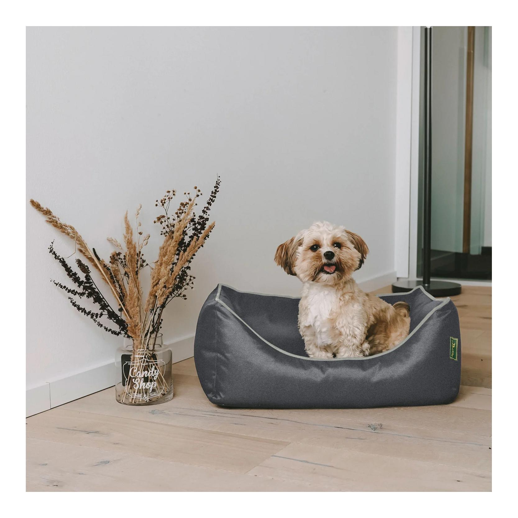 Orthopädisches Hundebett Cleveland