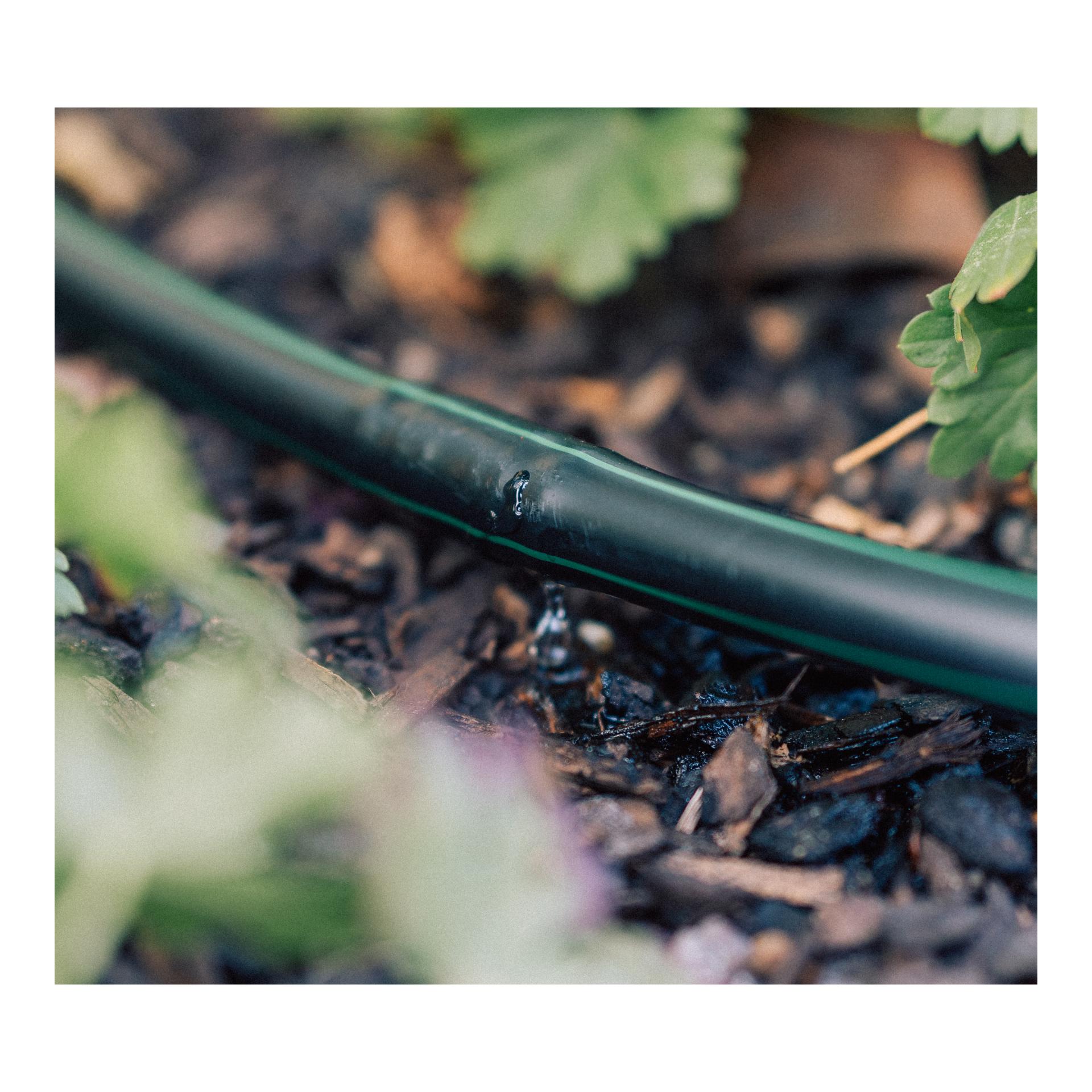 Drip-Set Bewässerung Hecken und Beete