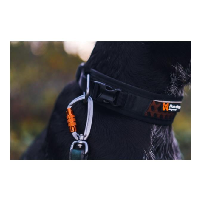 Rock Adjustable Collar