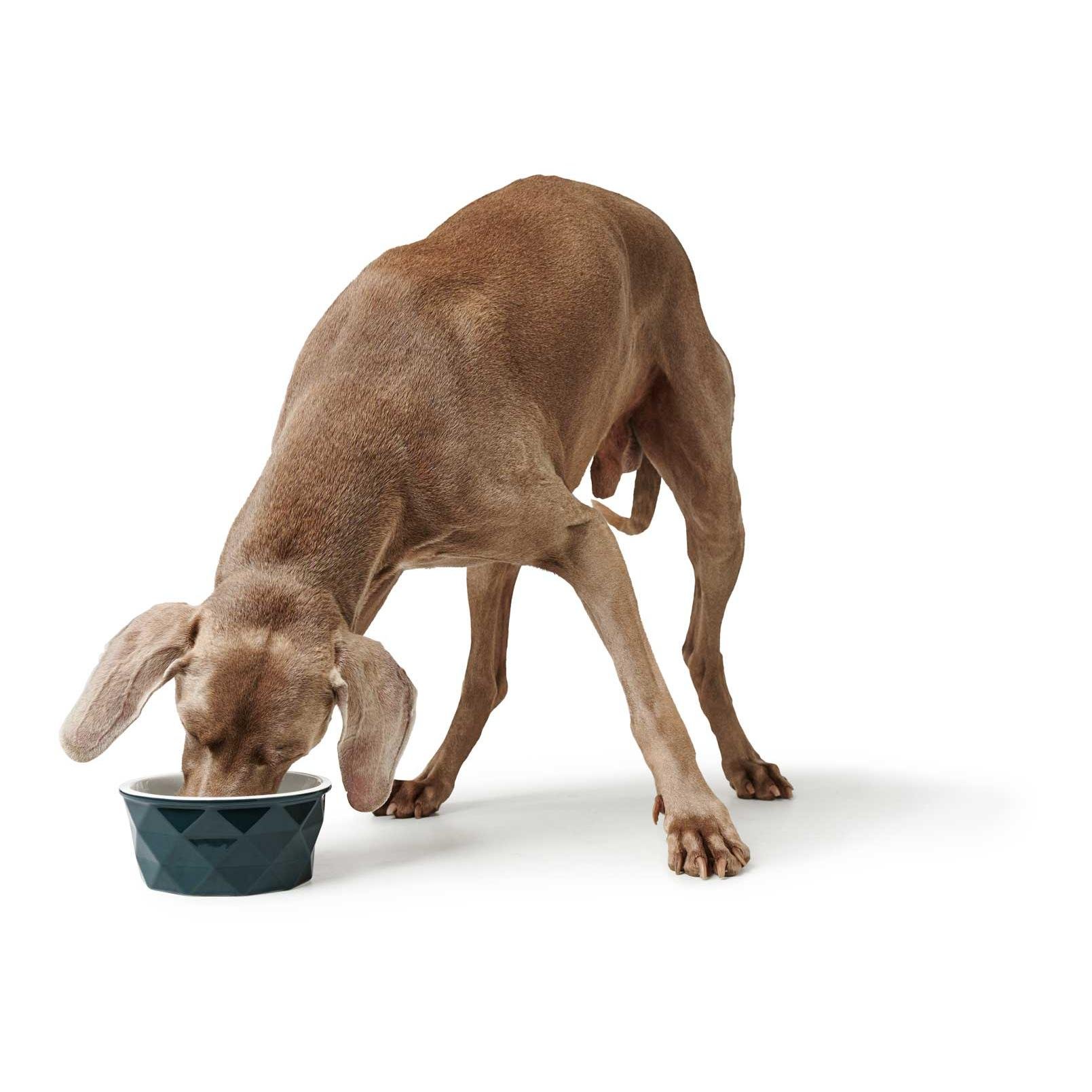 Keramik Napf Eiby - blau