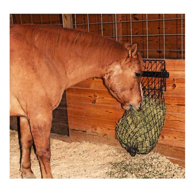 Image of JT Ersatznetz Hay Hoops - Schwarz - bei Hauptner.ch