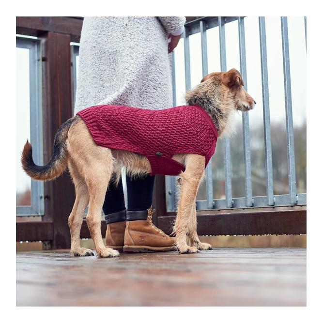 Hundepullover Malmö - bordeaux