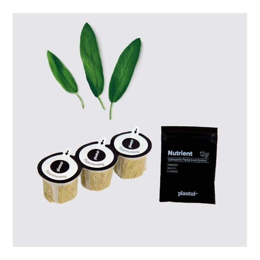 Image of Plantui Salbei Kapsel Smart Garden bei Hauptner.ch