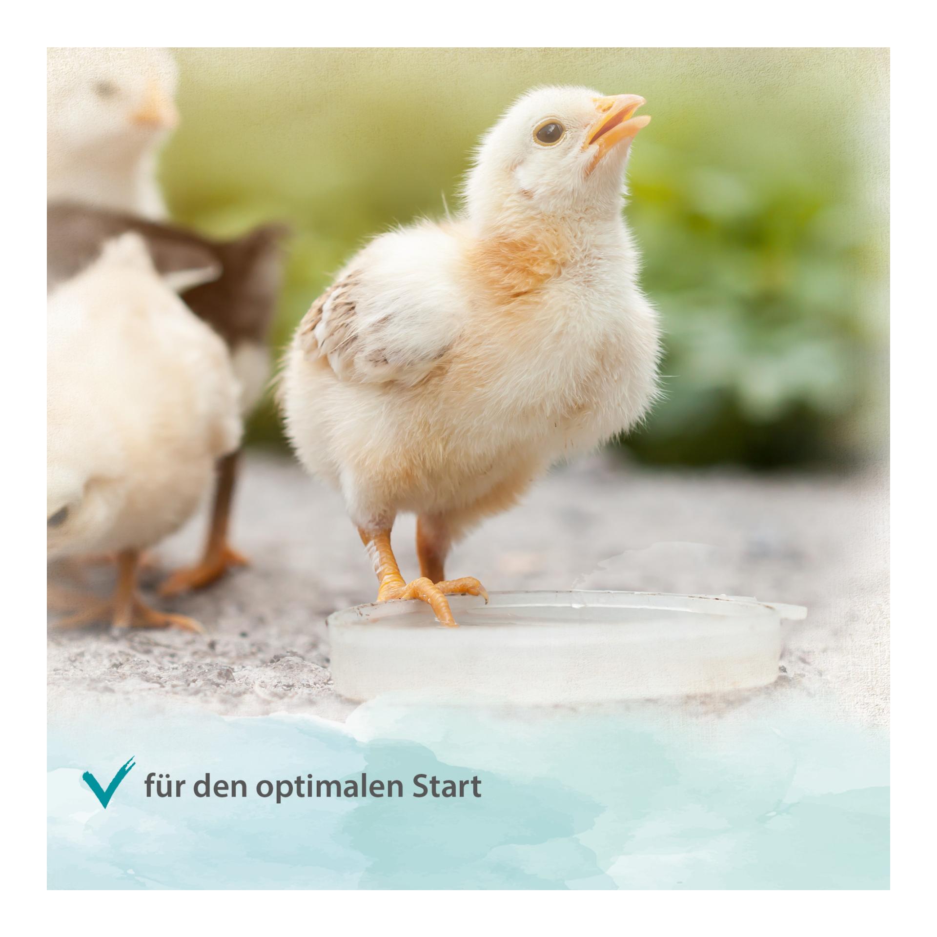 ProBiotic - für eine gesunde Darmflora