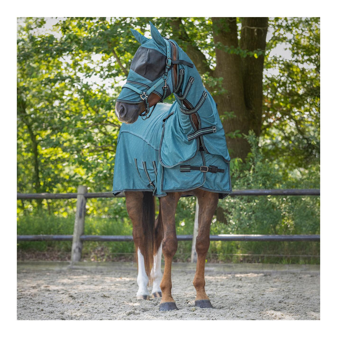 Fliegendecke Collection mit Hals und Haube