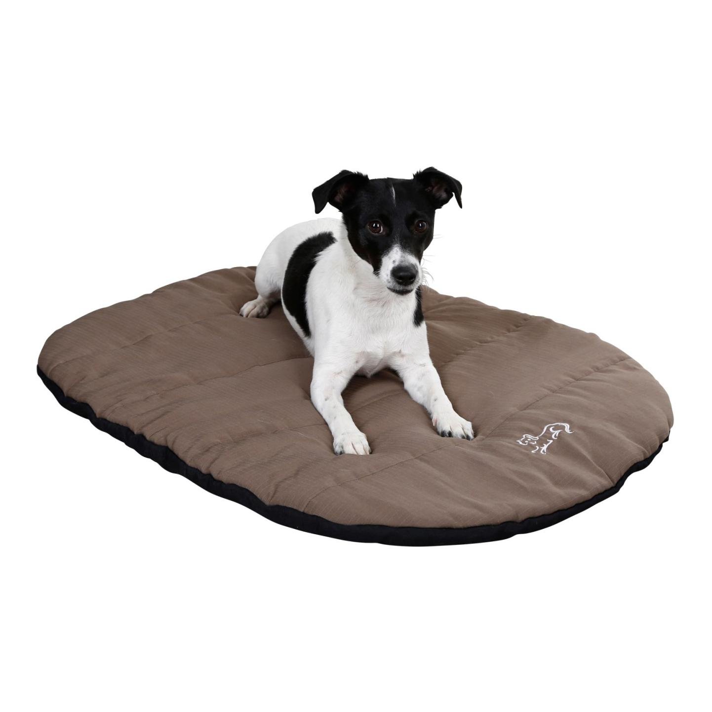 Coussin de voyage Traveller