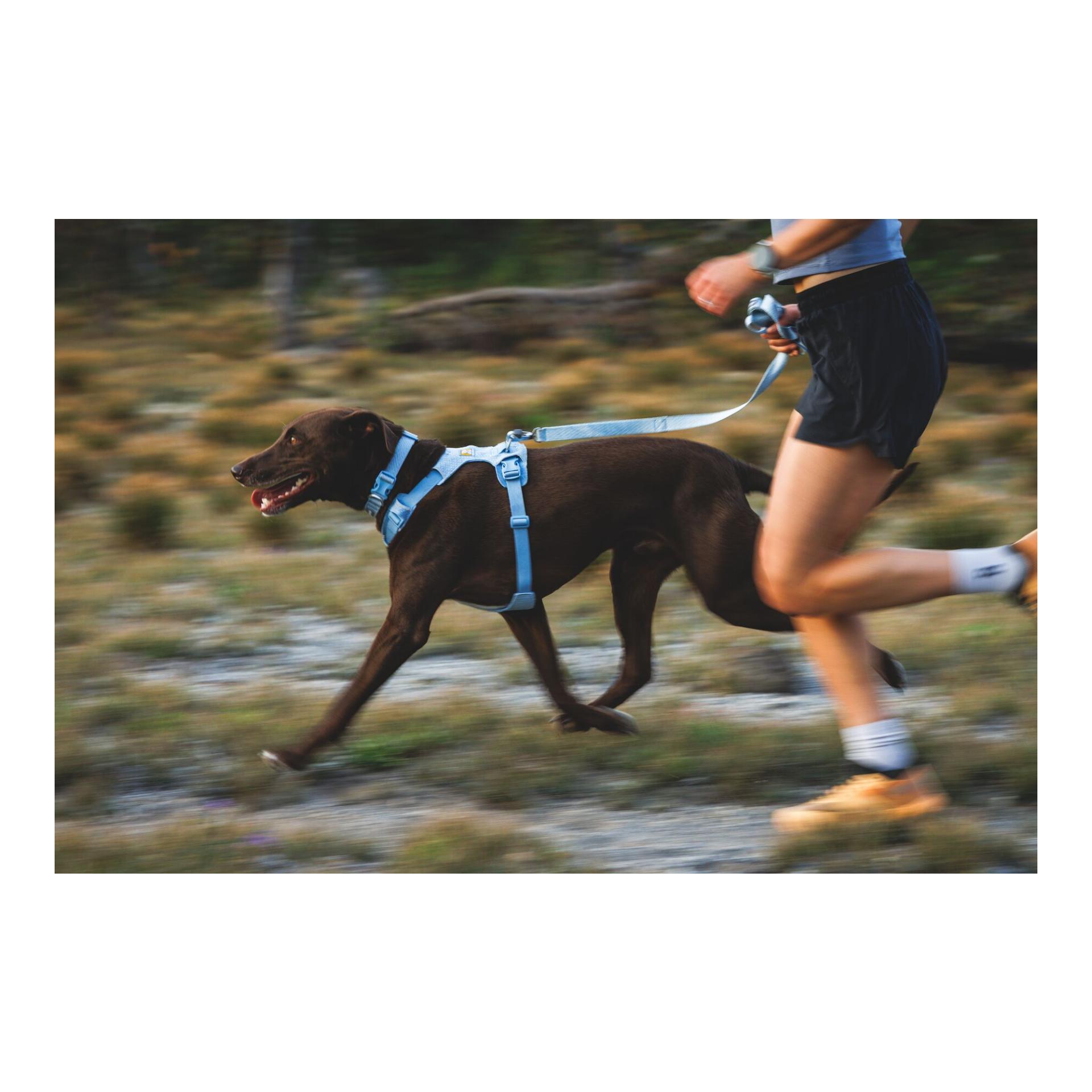 Ruffwear Front Range® Flex Hundegeschirr
