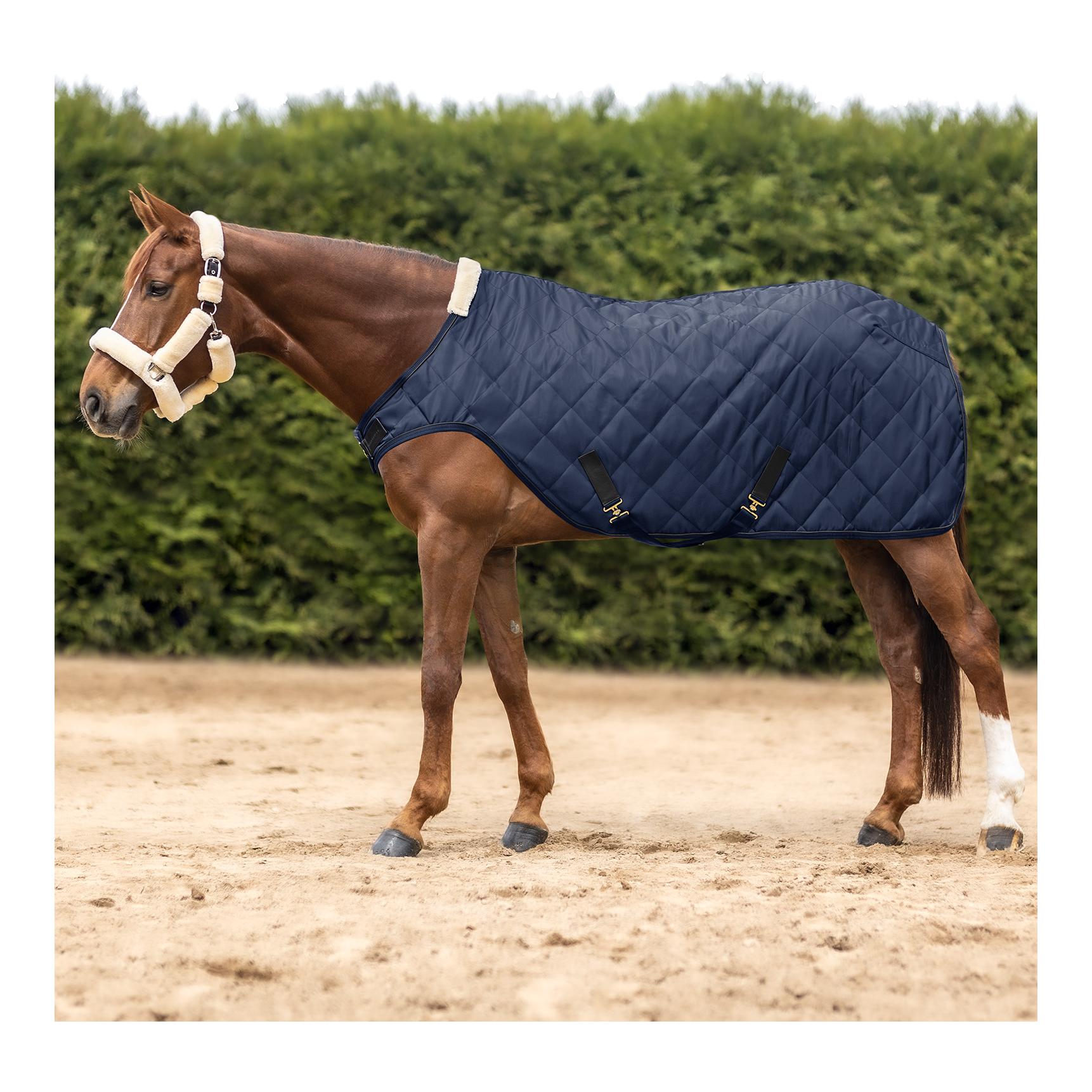 Führmaschinendecke Exclusive 50g