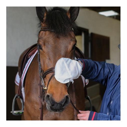 Tack Cleaner Handschuh