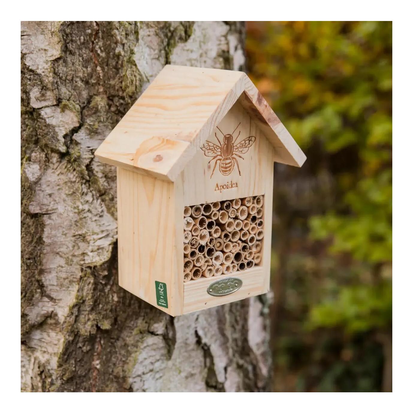 Bienenhaus mit Silhouette