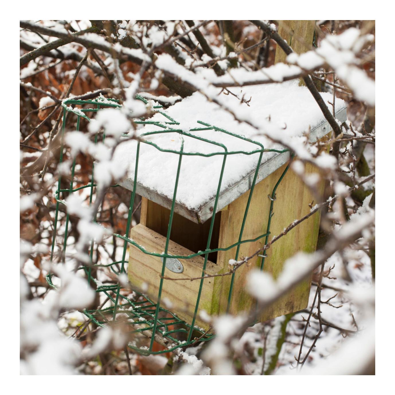 Nistkasten Rotschwänzchen