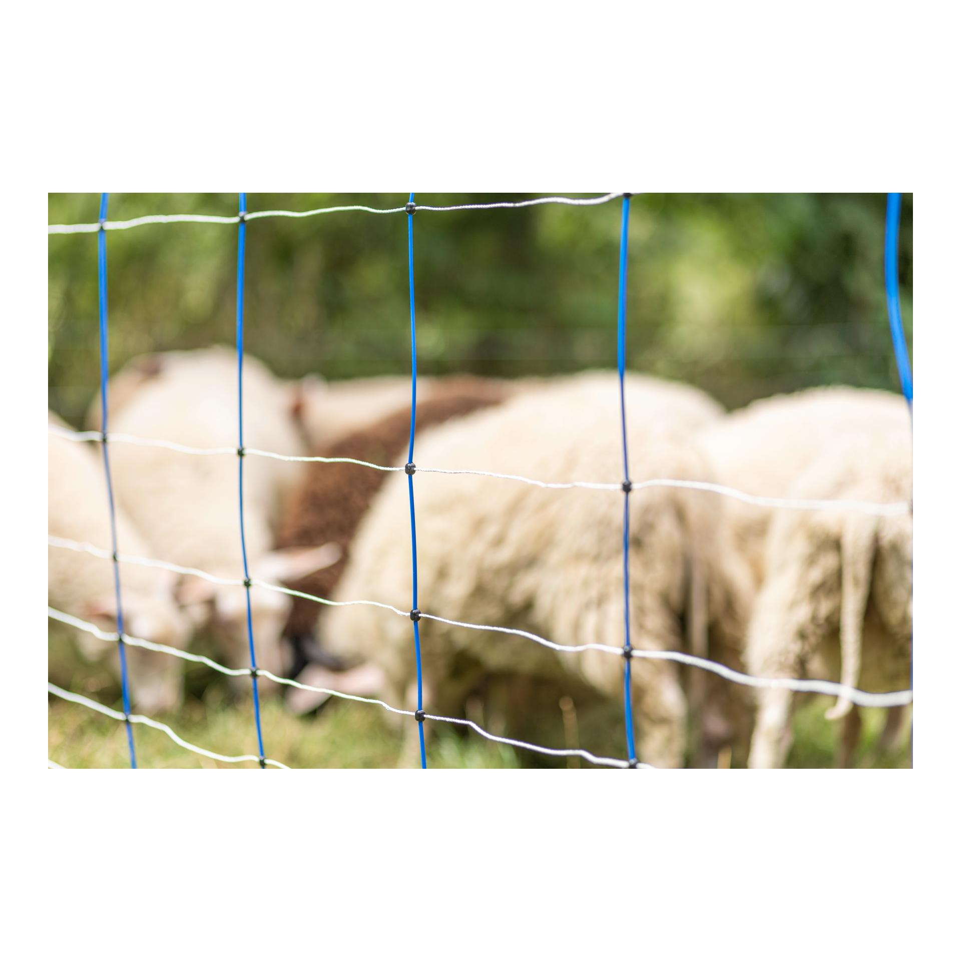 Weidenetz TitanNet - Doppelspitz