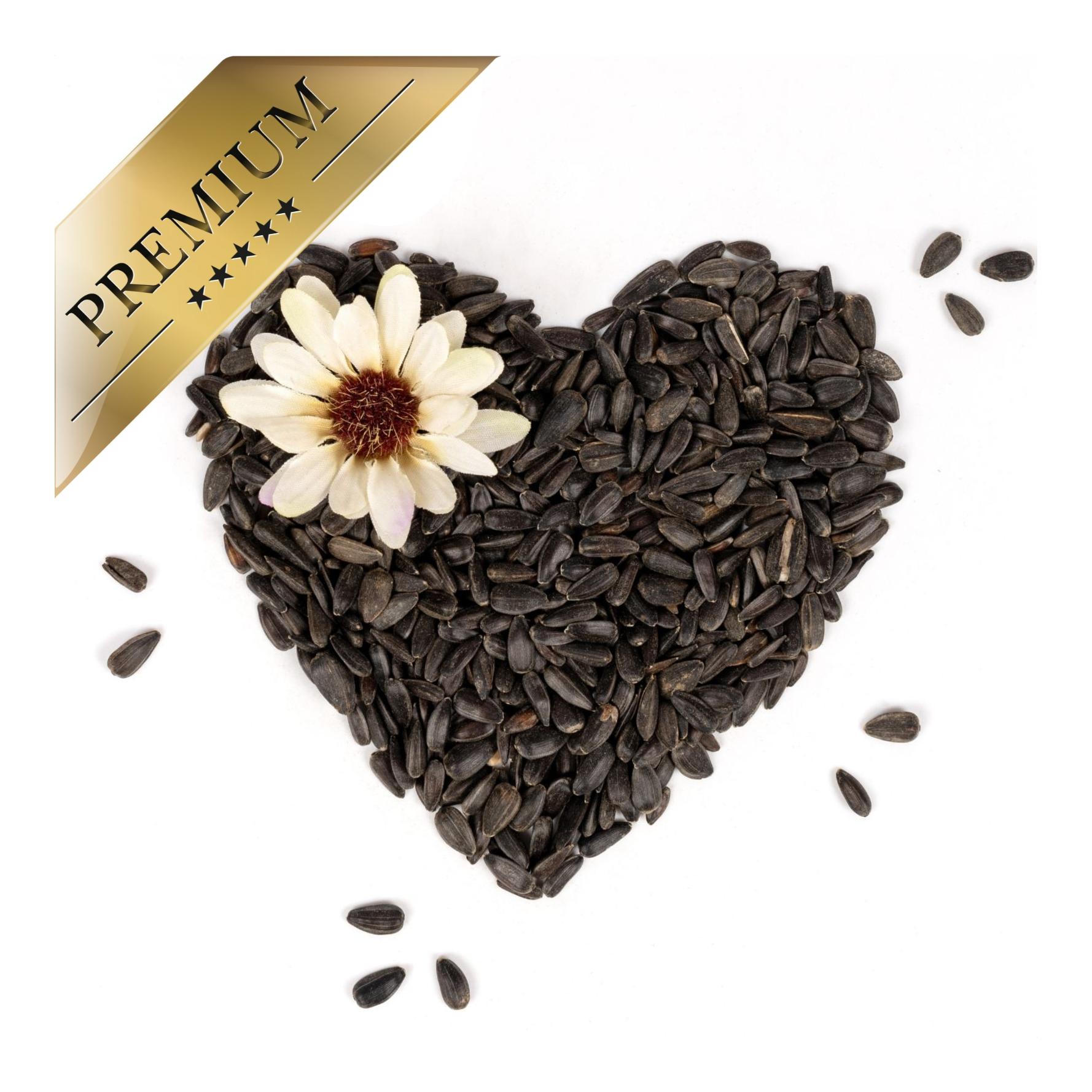 Sonnenblumenkerne schwarz