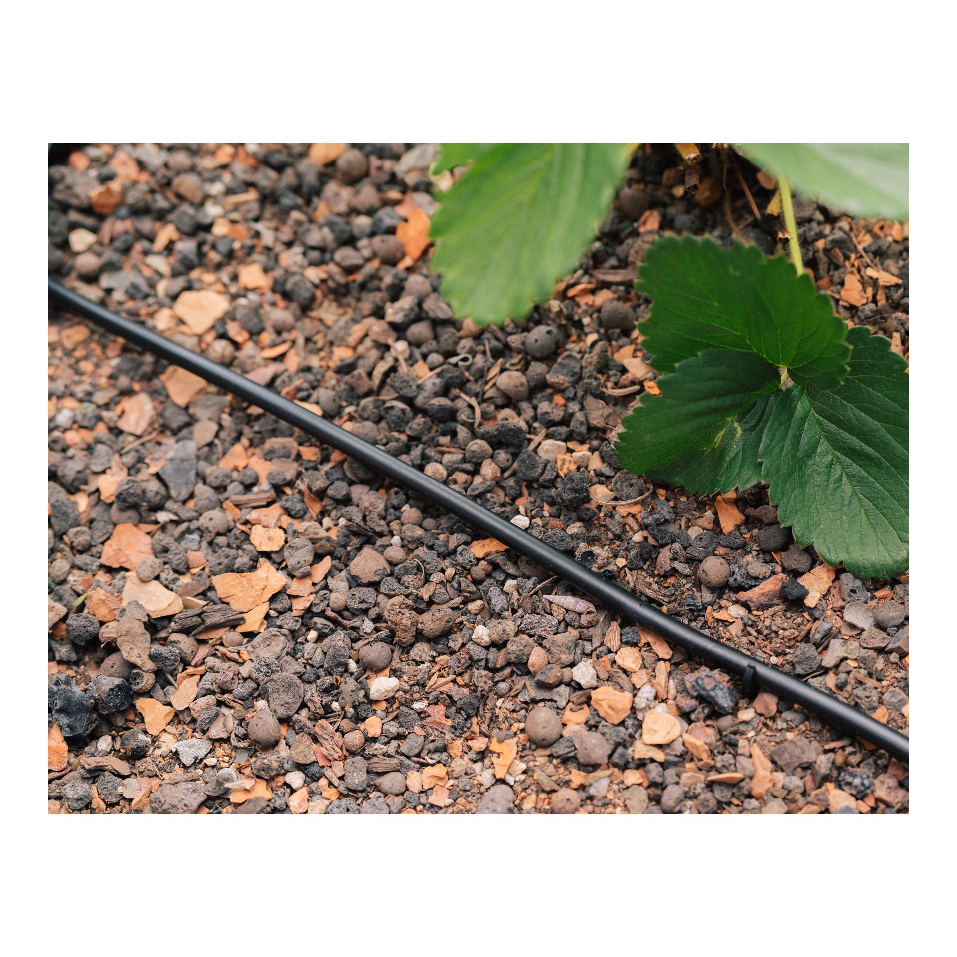 Drip-Set Bewässerung Gemüse und Blumenbeete