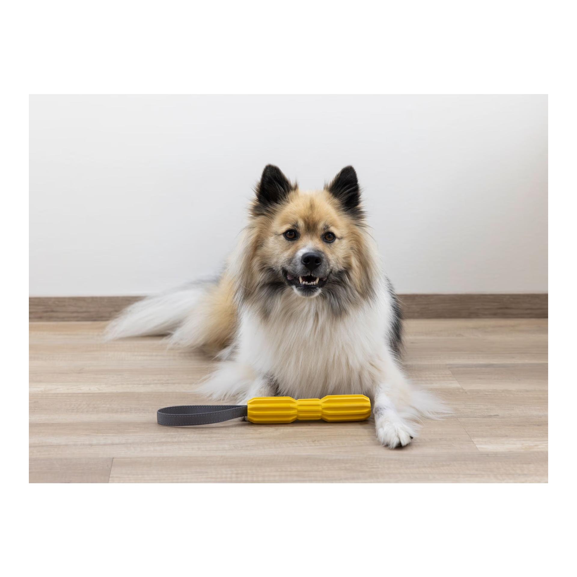 Kerbl Pet Hundespielzeug Aqua, Stab mit Schlaufe