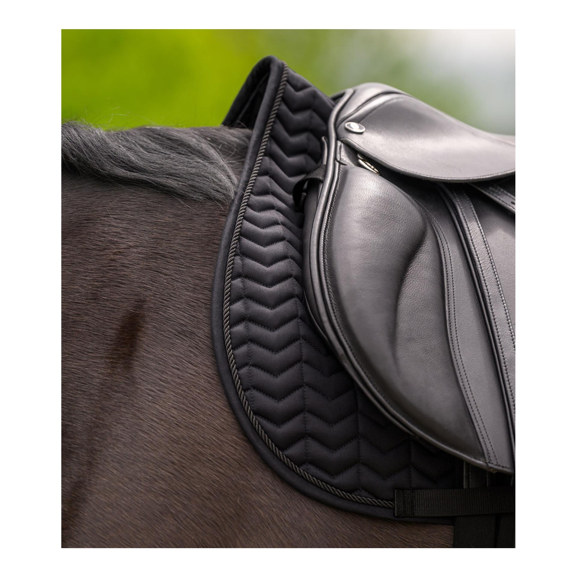 Waldhausen Chabraque Classic