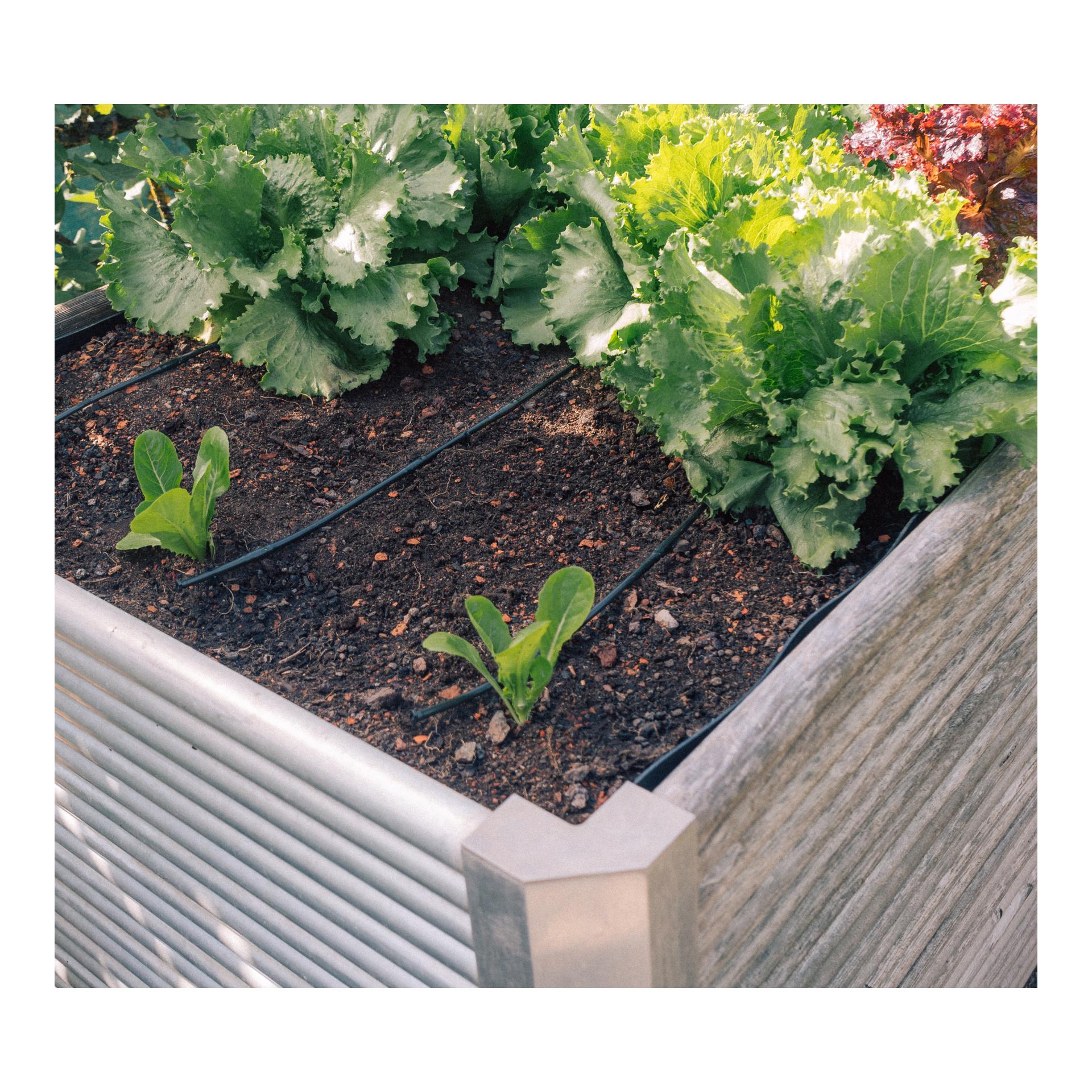 Drip-Set Bewässerung Gemüse und Blumenbeete