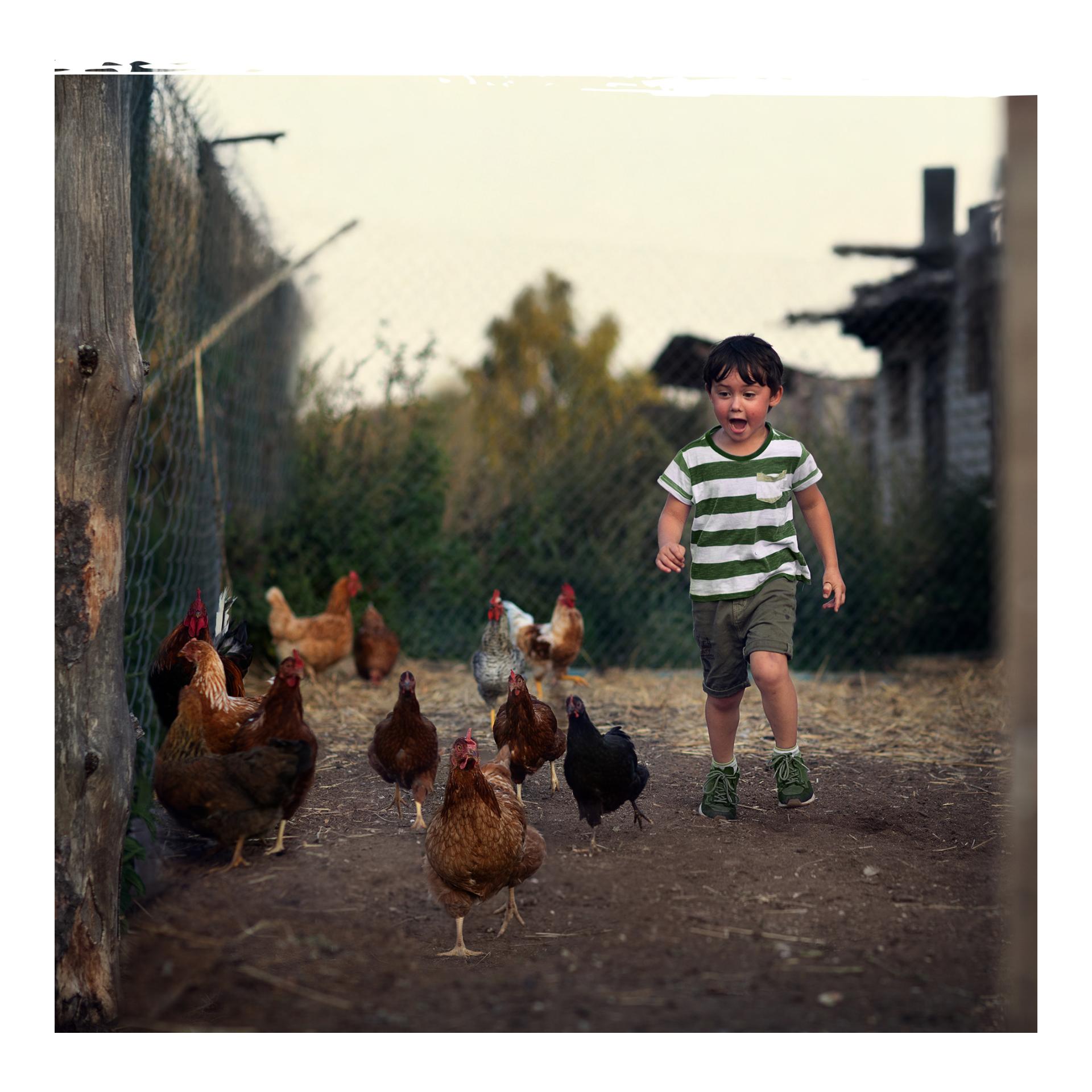 IdaPlus Herbes nobles pour poules - mélange de 19 herbes précieuses
