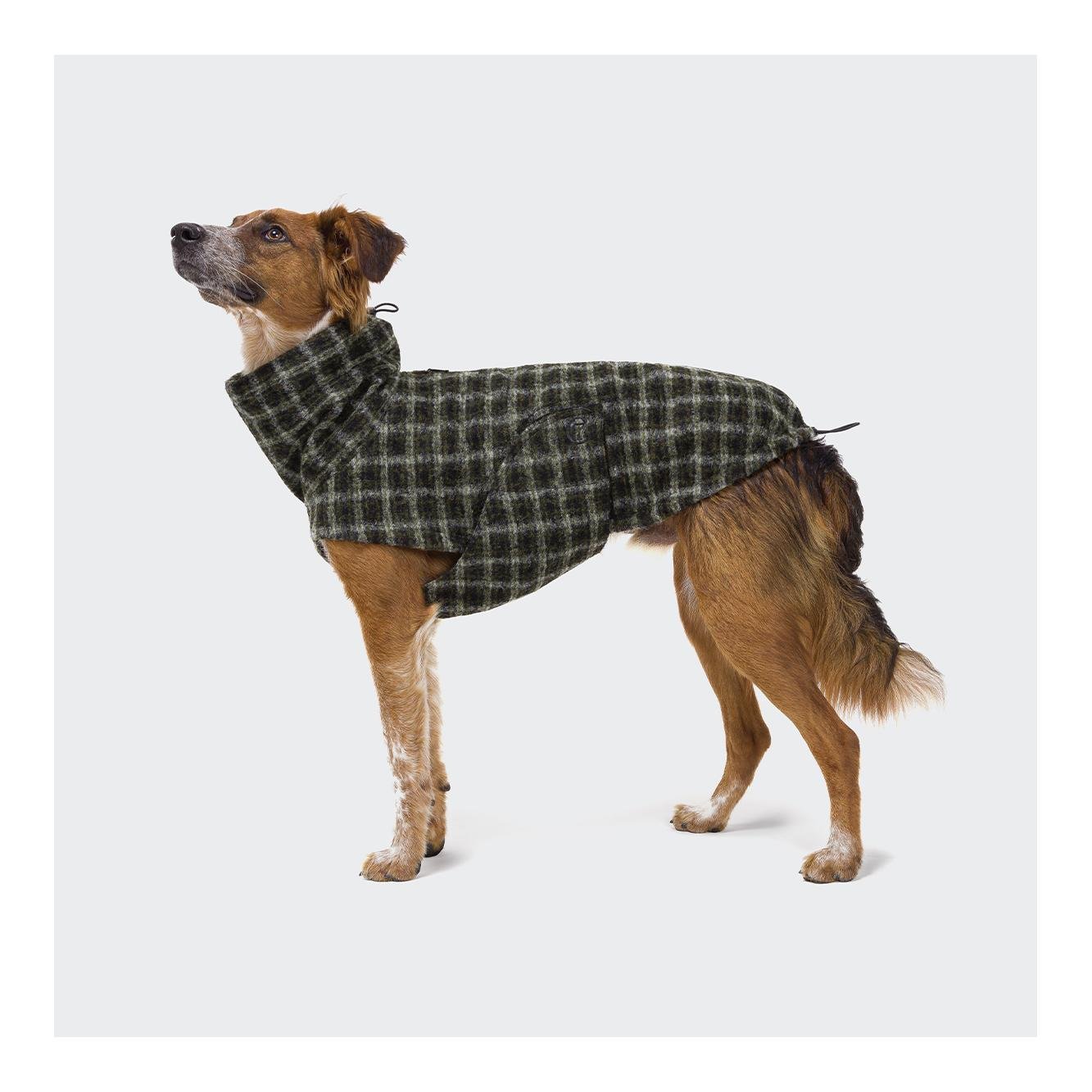 Hundemantel Glasgow