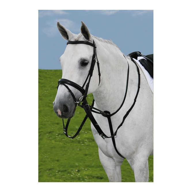 Image of Star Thiedemann Martingal - schwarz bei Hauptner.ch