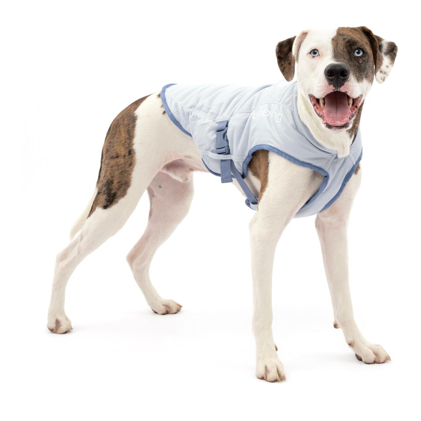 Kurgo Kühlweste für Hunde