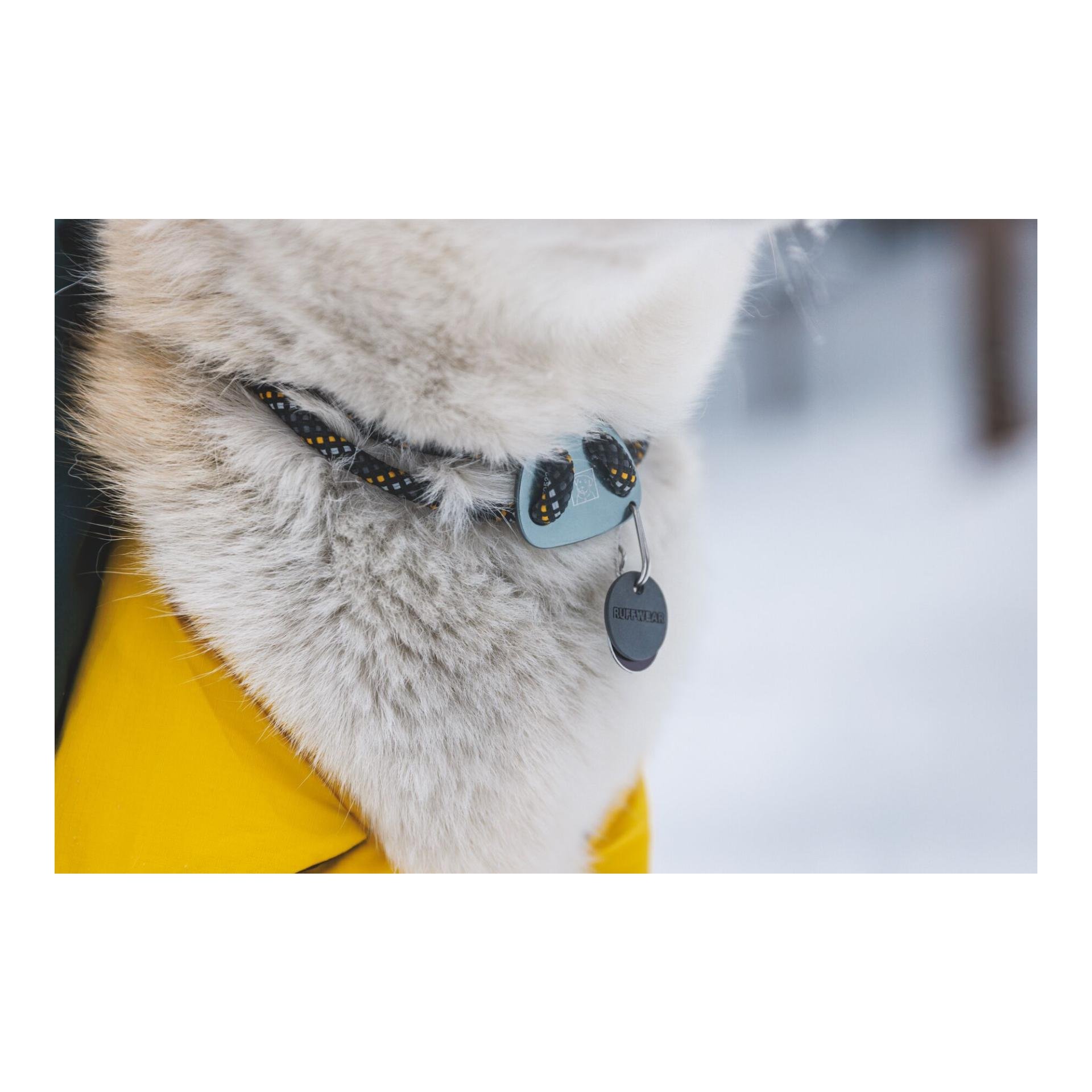 Knot-a-Collar Hundehalsband