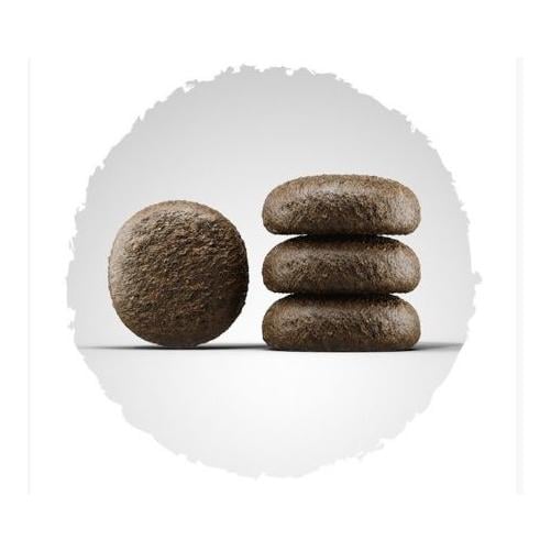 Josera Festival Trockenfutter für wählerische Hunde