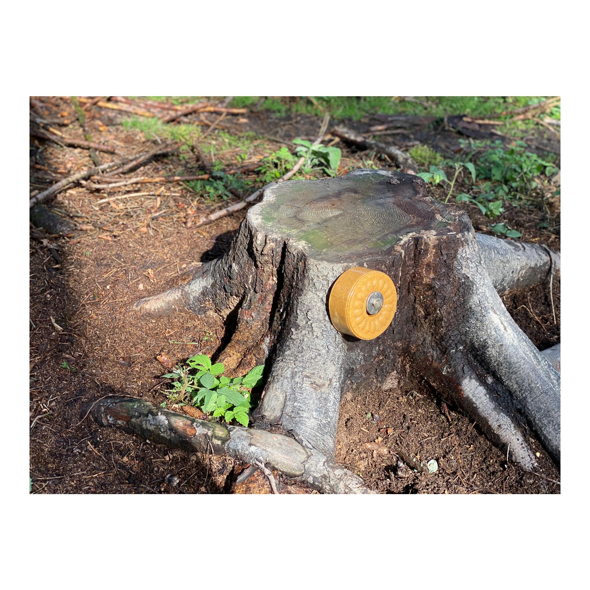 Befestigungsset Baumanbringung für Lecksteine