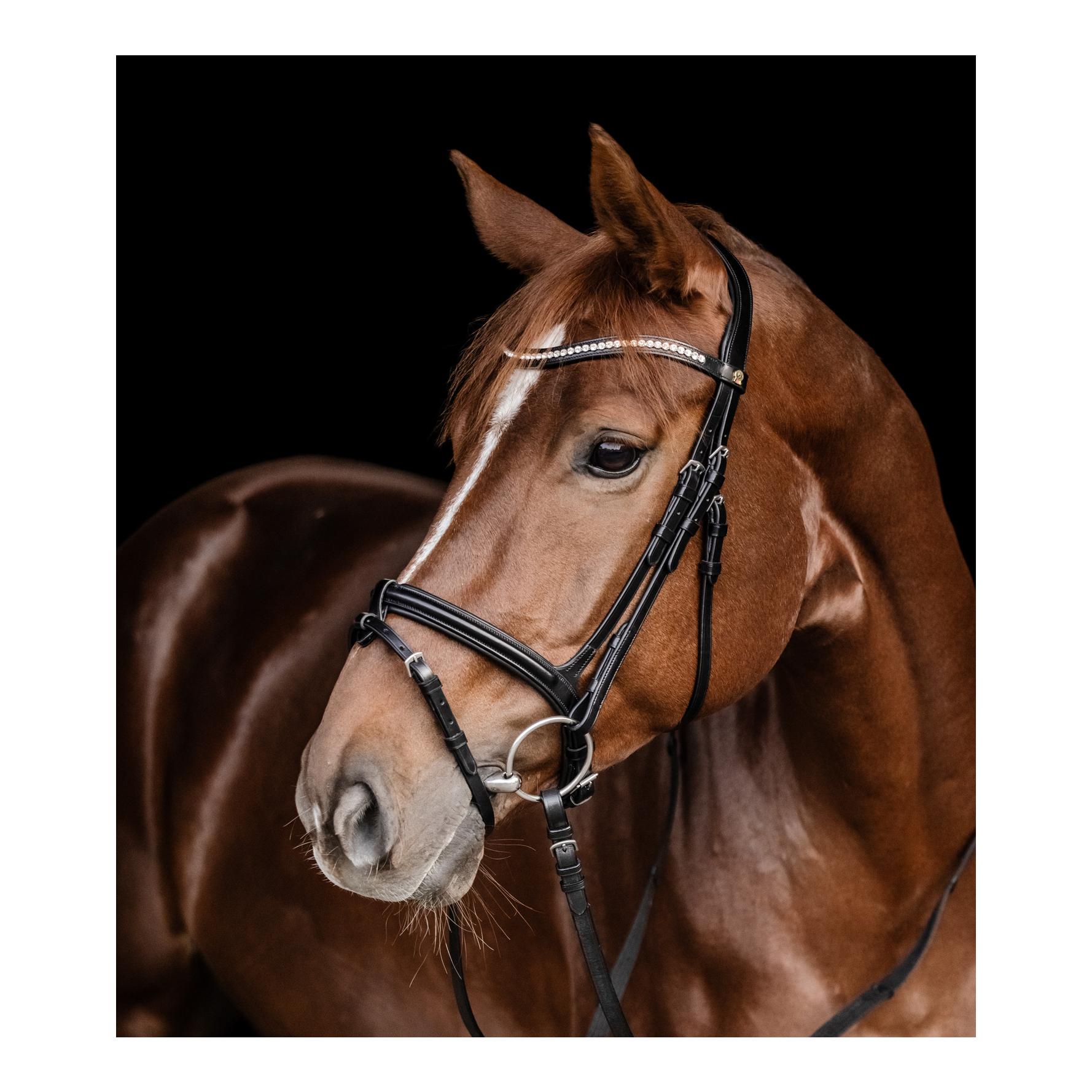 S-Line Trensenzaum Harmony, englisch komb.