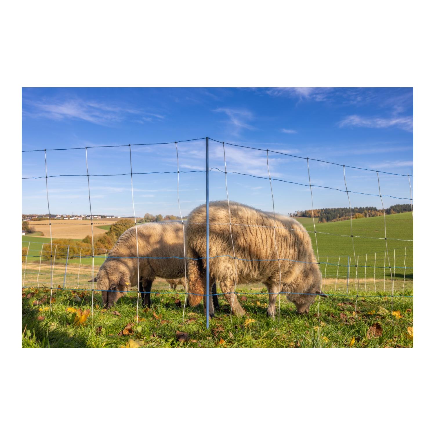 AKO Weidenetz Titan Light Premium - Einzelspitz