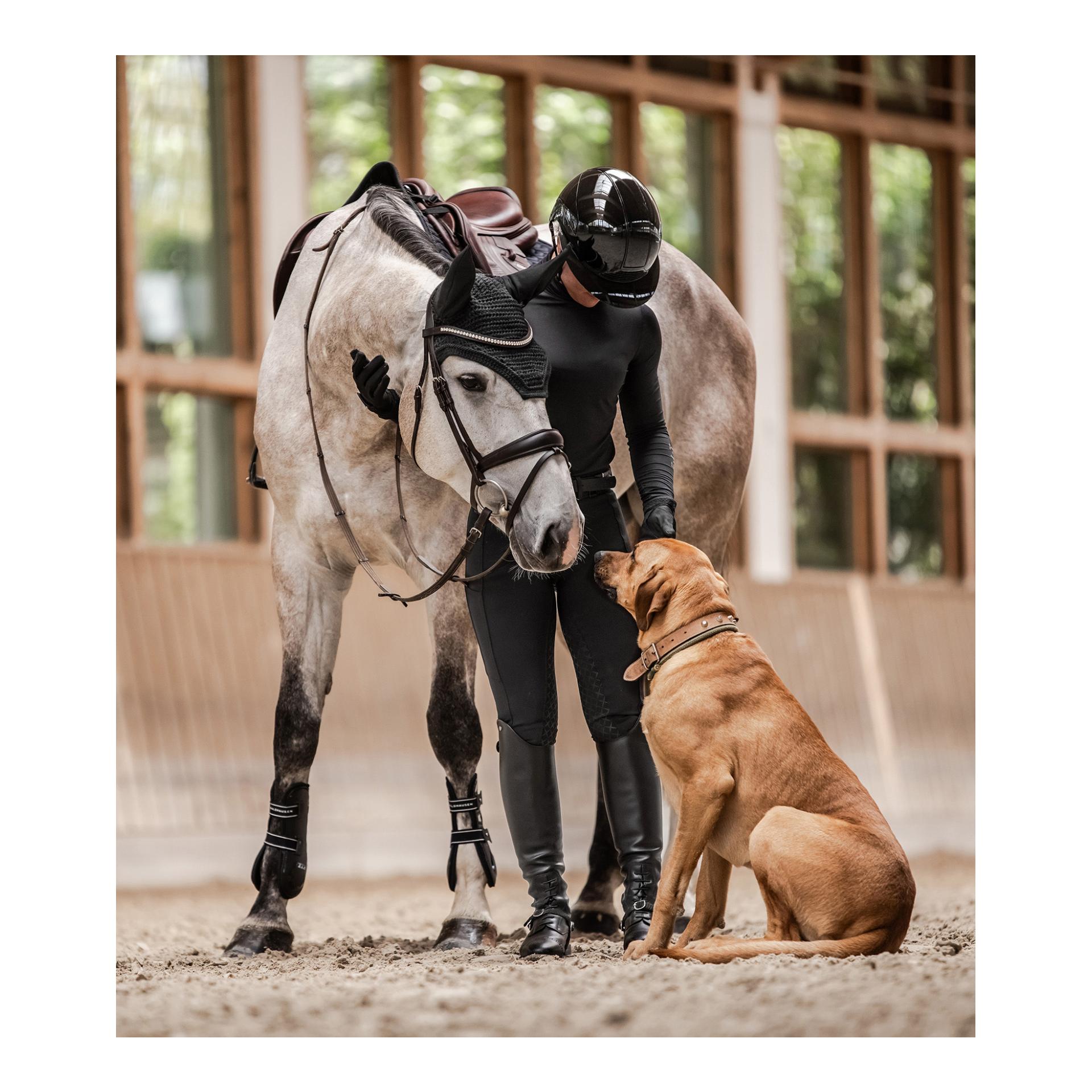 Swing Reithelm H24 Lady Glossy