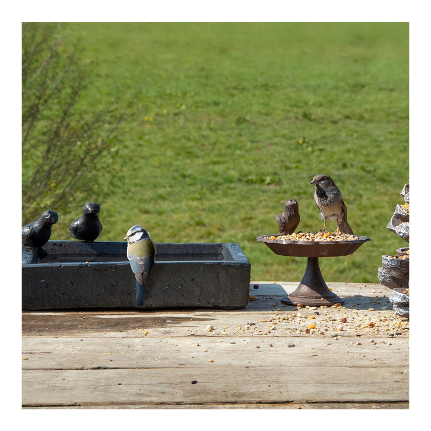 Vogeltränke Terrazzo quadratisch