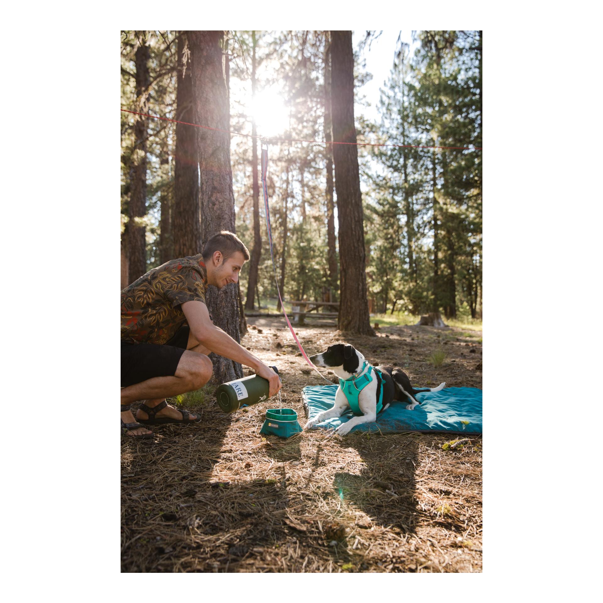 Ruffwear Knot-a-Hitch™ - Hund Hitching System