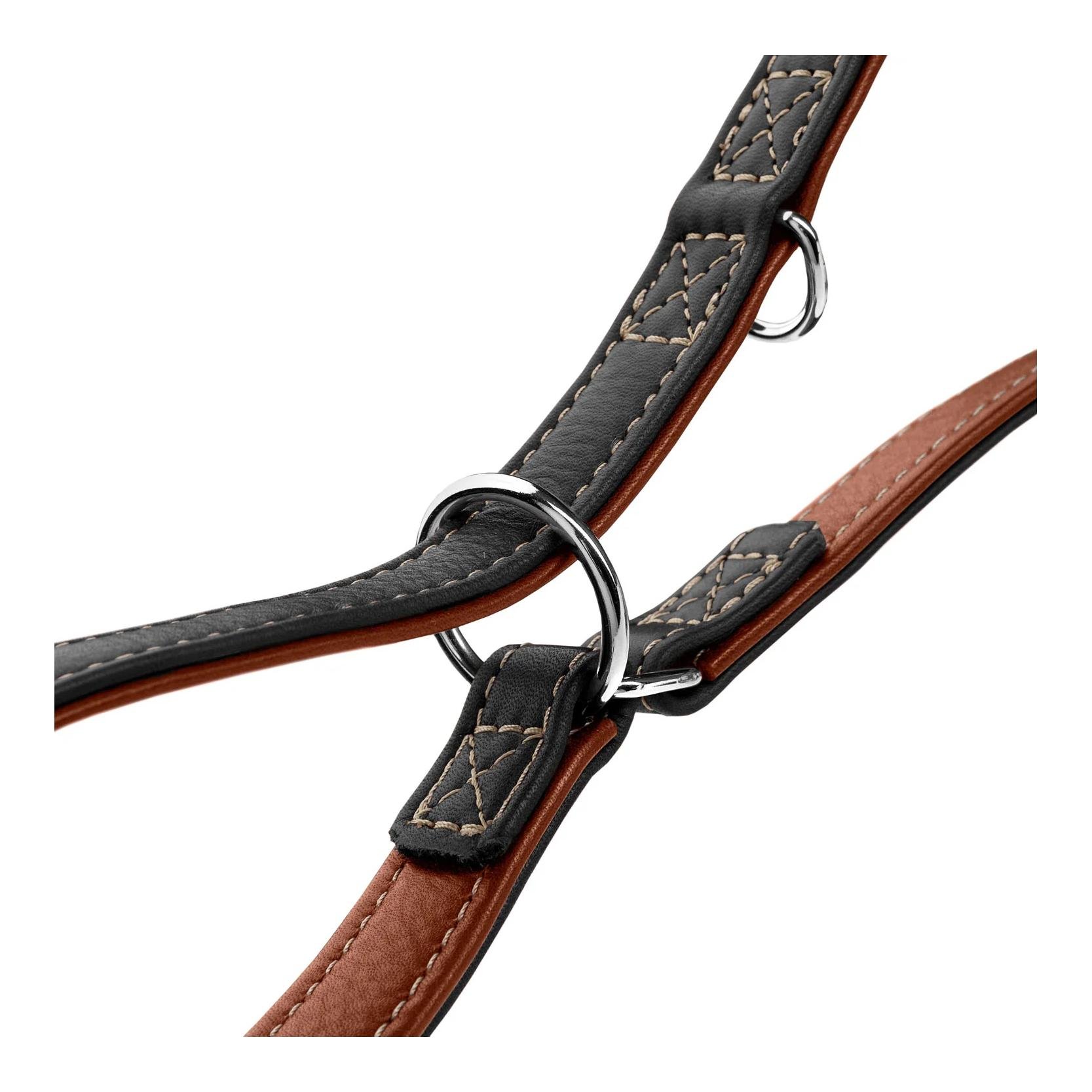 Verstellbare Hundeleine Canadian Up