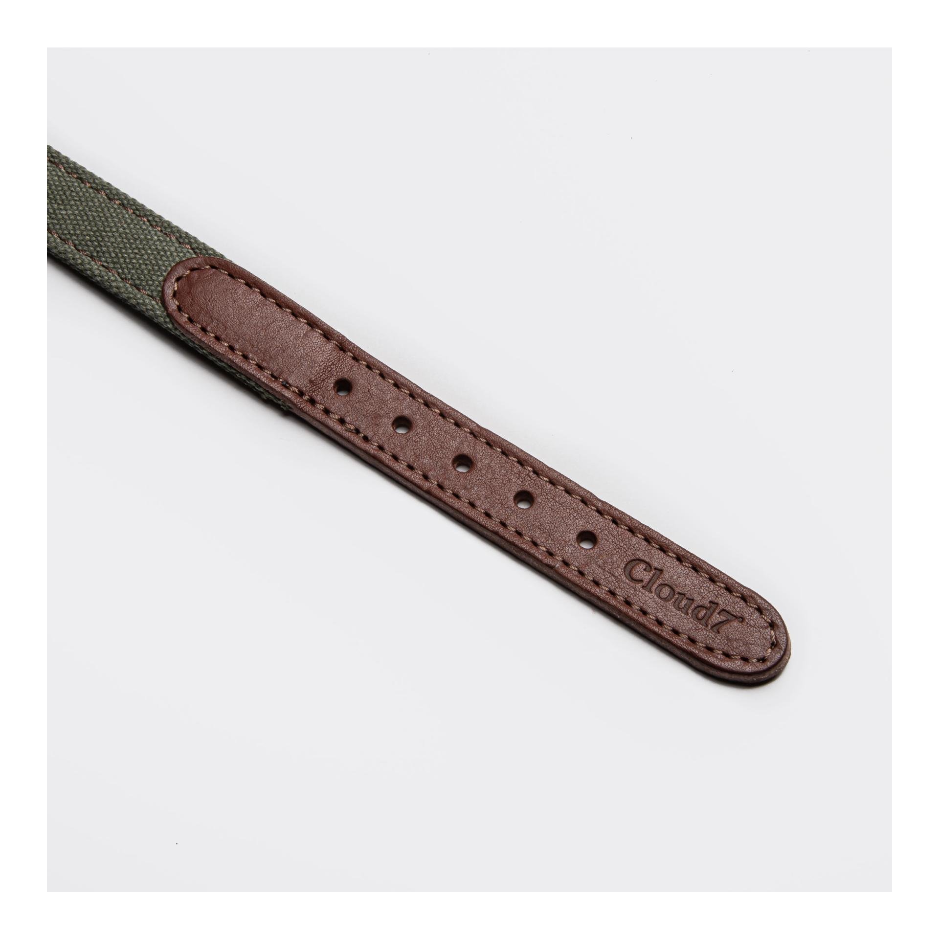 Collier pour chien Tivoli - olive