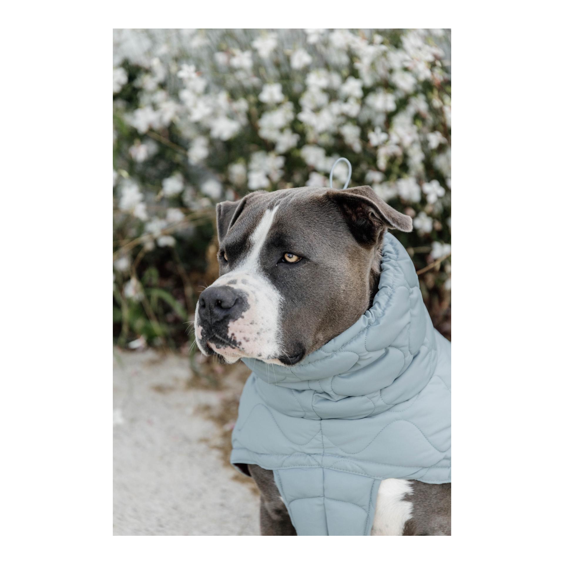 Hundemantel Pina - 160g