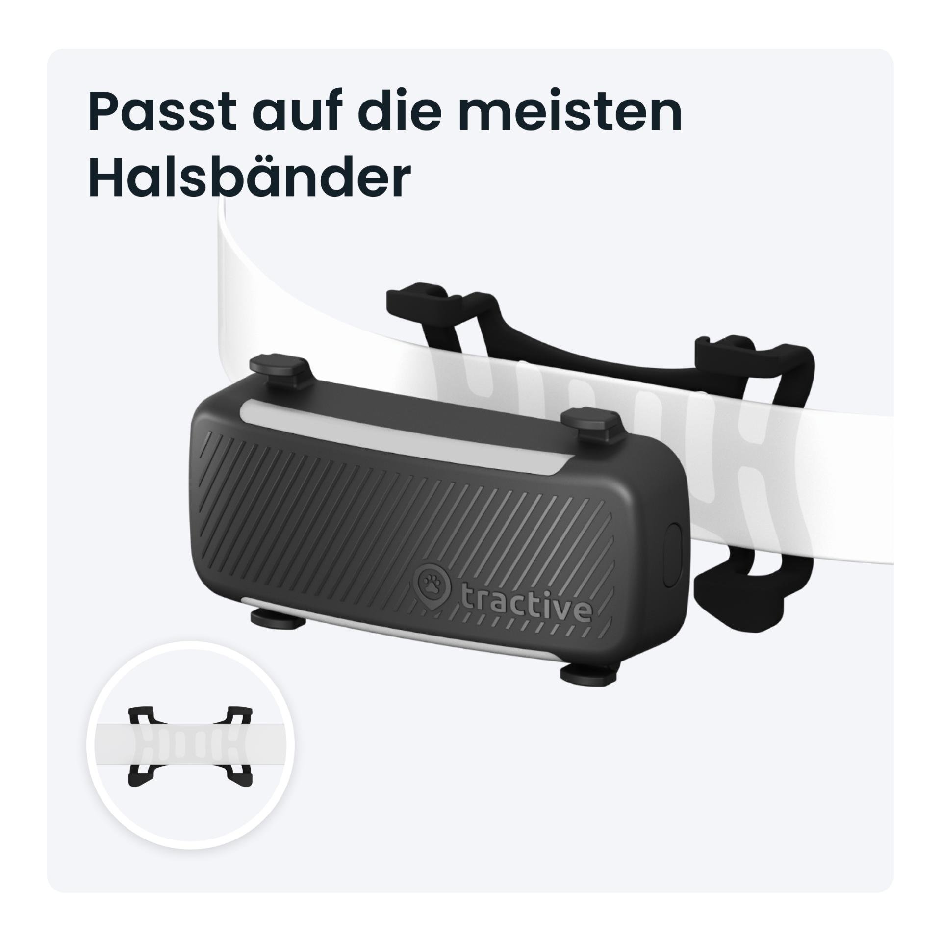 Tracker GPS pour chiens DOG 6