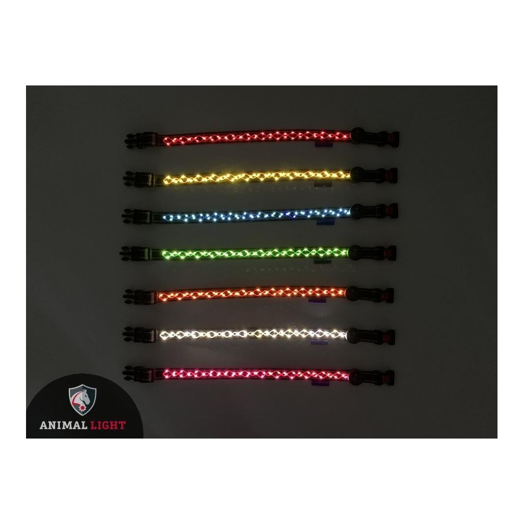 Leucht-Hundehalsband "Beauty"